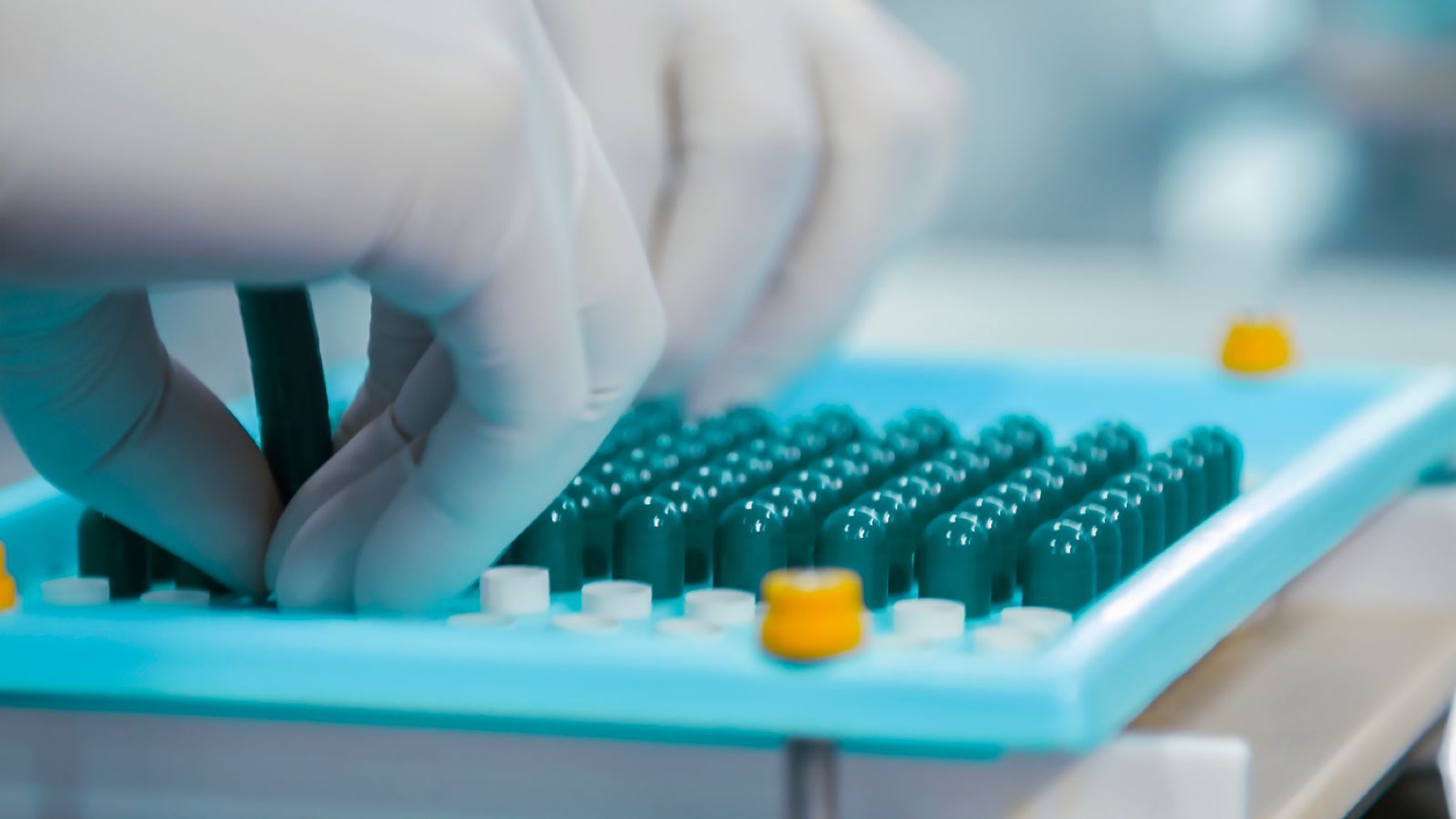 Capsules being filled on a pharmaceutical production line